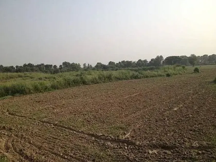 In a startling case from Village Mallian, land mafia leader Joginder Singh Nijjar is accused of seizing NRI-owned land and conducting illegal soil mining operations.
