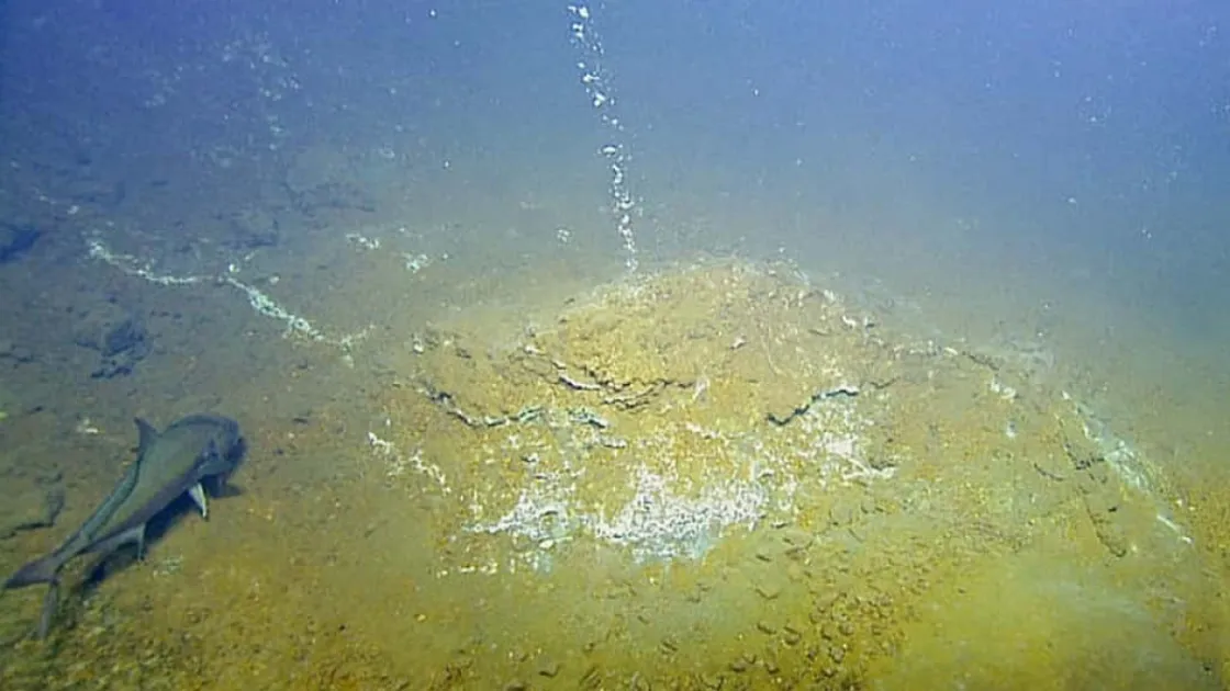 Grenada's Kick-’em-Jennay Submarine Volcano erupts after 800 tremors in 10 hours