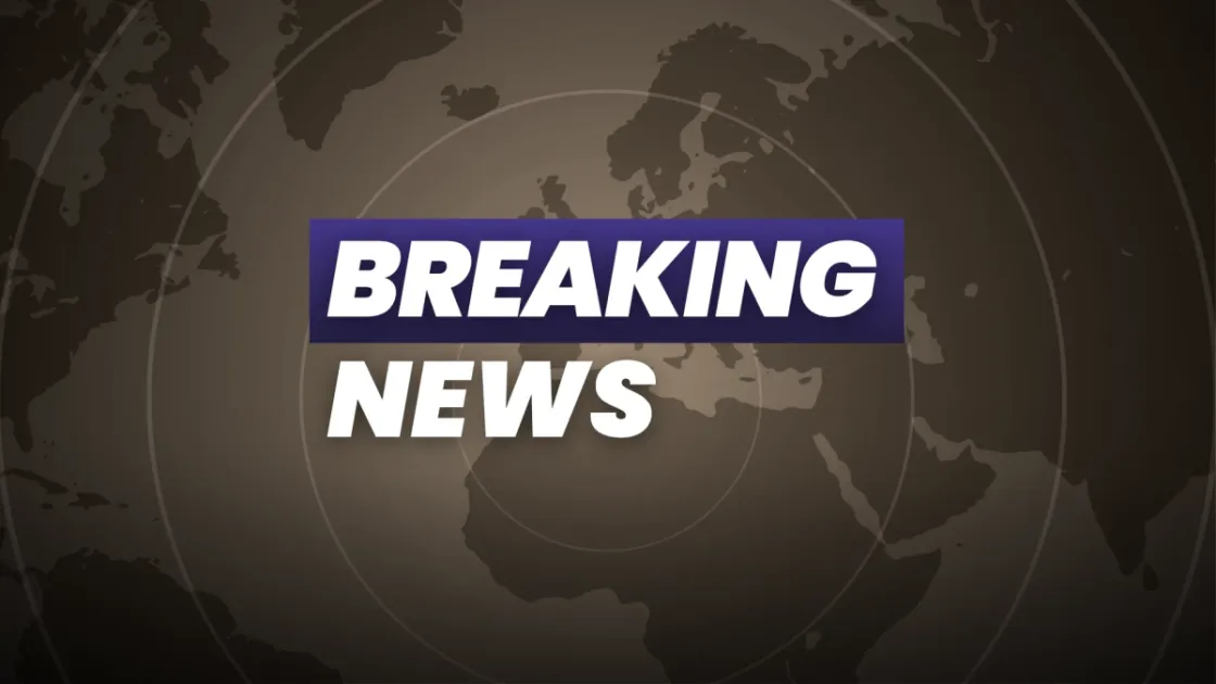 Grenadian Woman, Christy Richardson Reported Missing in London