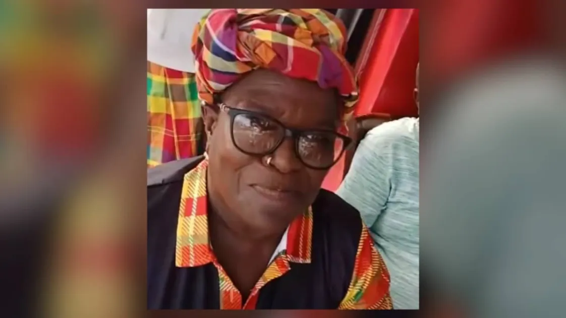 ‘That’s My Prime Minister!’ Saint Lucian Woman’s cheer for Grenada’s Dickon Mitchell sparks online debate