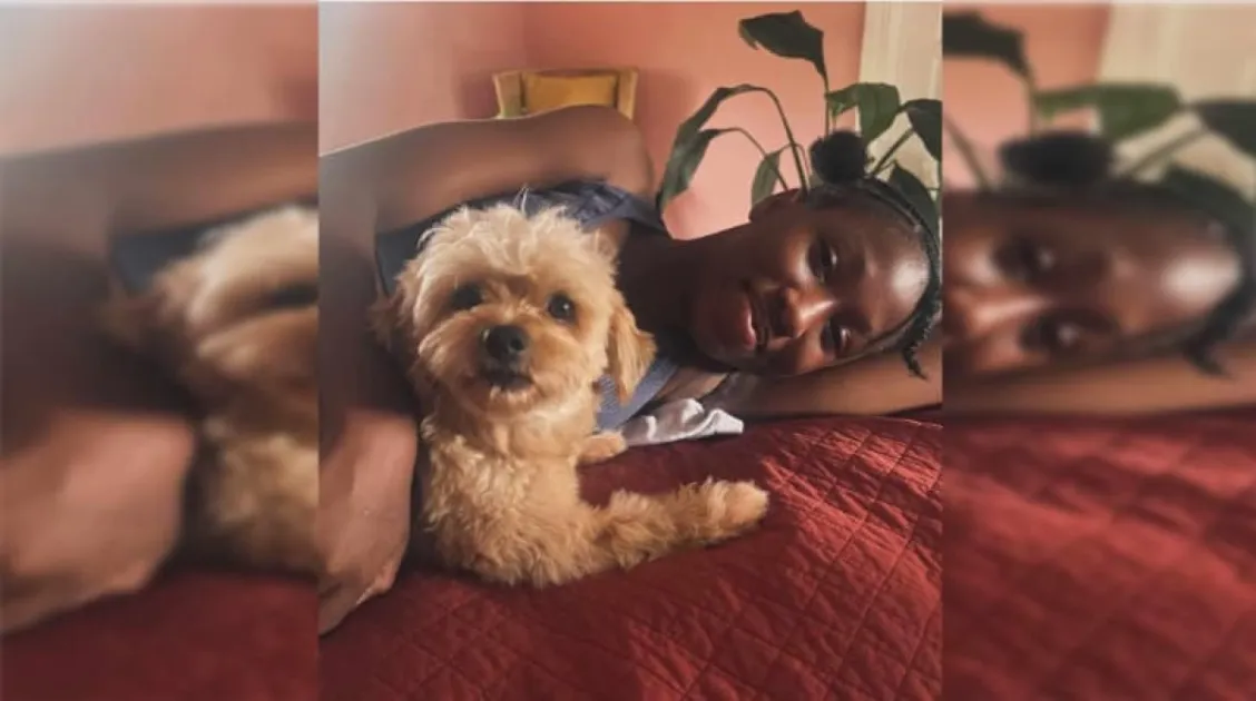 Grenada: 11-year-old girl from Mount Hartman reported missing  