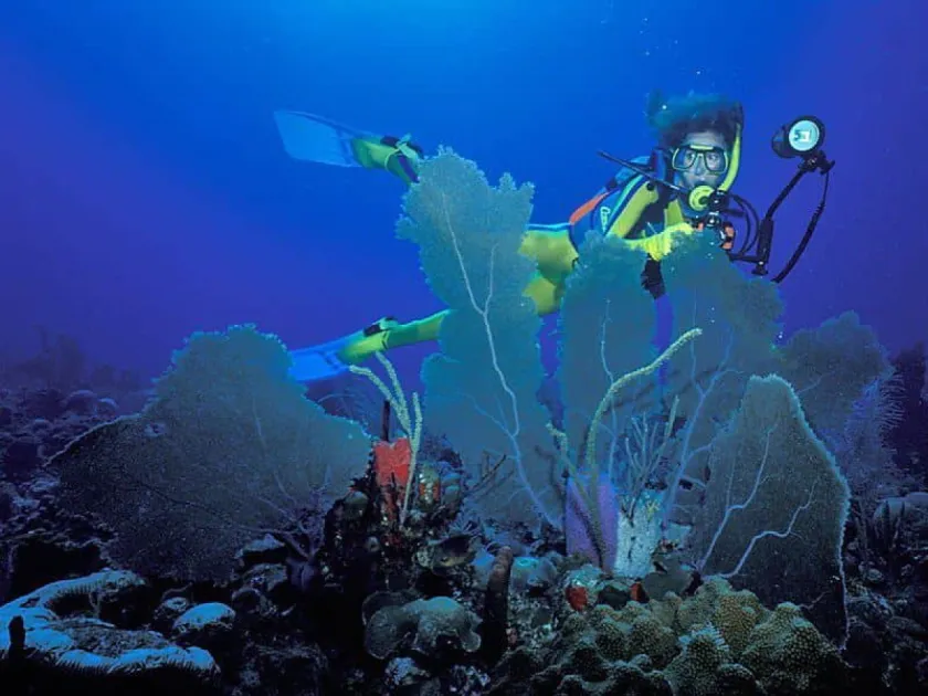 St Kitts and Nevis wins 2026 Scuba Diving Readers’ Choice Awards