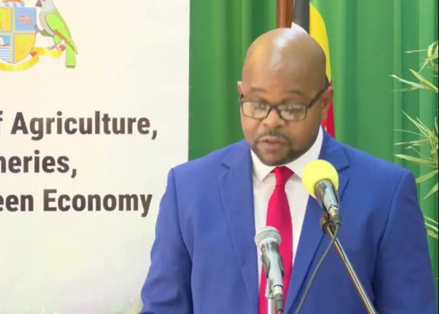 The Agriculture Science Complex is also optimizing protocols for sweet potato, ginger, white potato, cassava, banana, and potatoes, allowing Dominica to supply disease-free planting material and reduce import dependency.