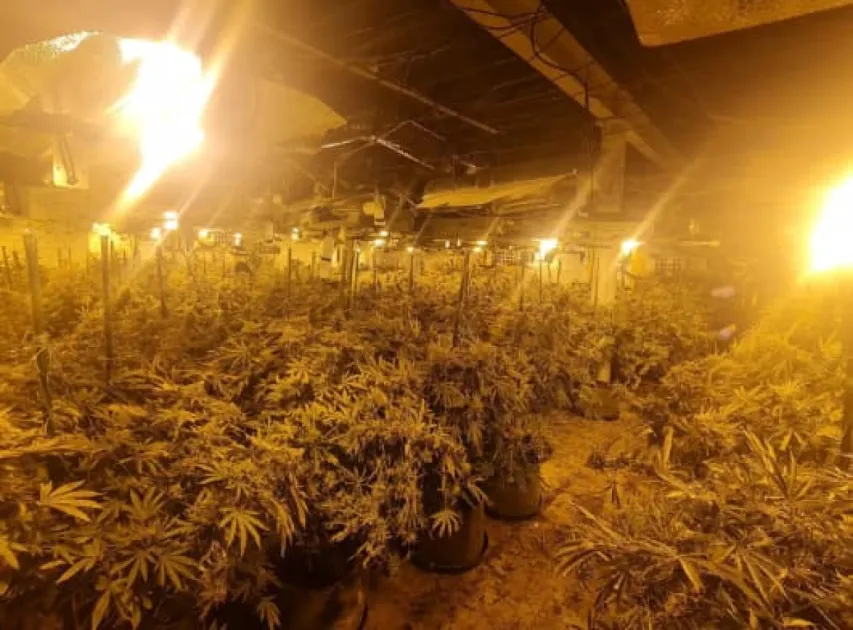 Antigua and Barbuda: Two men arrested for possession of cannabis on New Year’s Eve