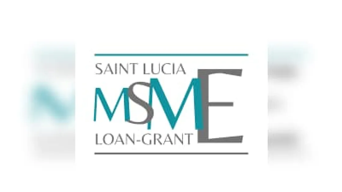 Saint Lucia launches MSME Loan-Grant Facility Training to boost small business development