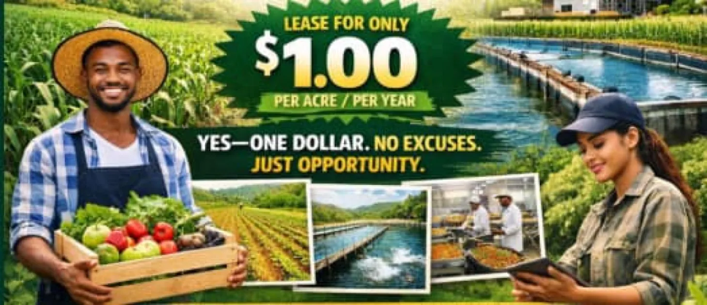 Dominica approves low-cost State land leases for young farmers