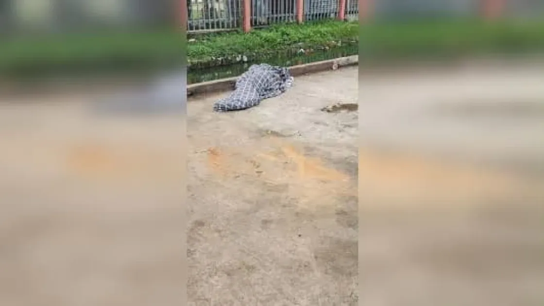 Police recovered a suspected .32 spent shell and a leather holster near the scene, and CCTV footage is being reviewed to determine the circumstances.