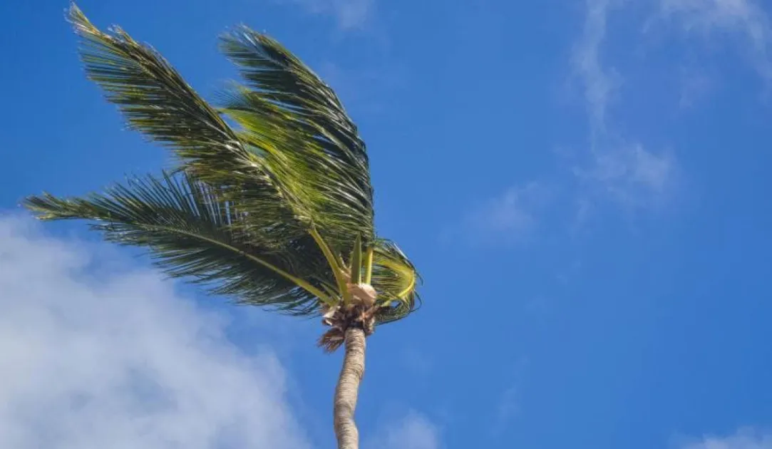 Forecasters warned that gusts exceeding 55 km/h could affect eastern and elevated areas of Trinidad and Tobago as breezy conditions, Saharan dust and isolated heavy showers continue.