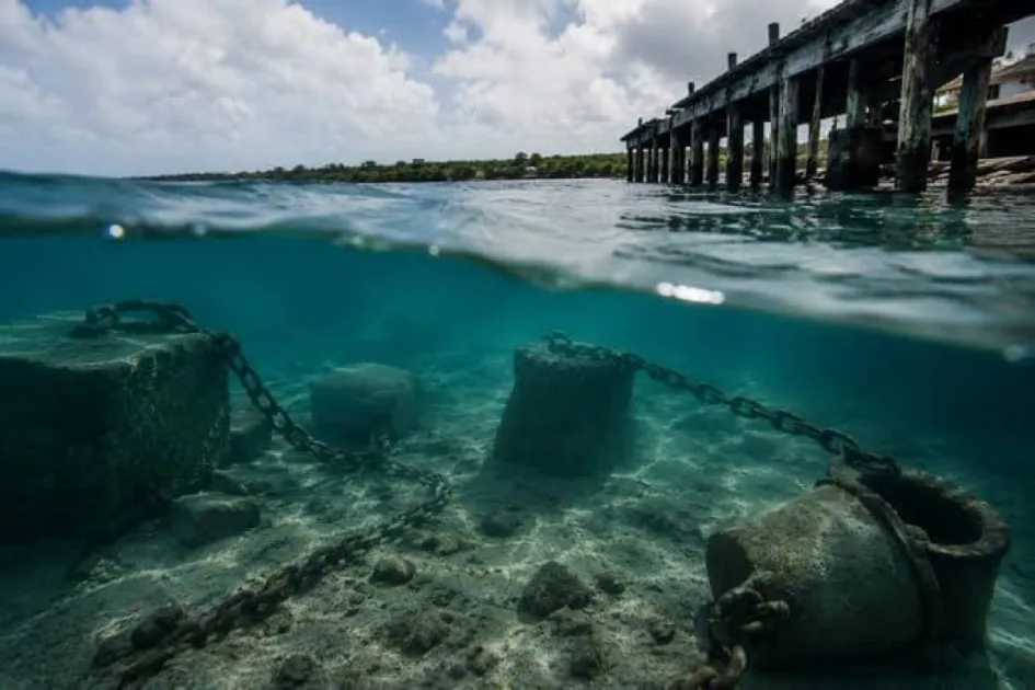 Antigua: Social Media Claims Human Remains Found Off Coast Under Investigation