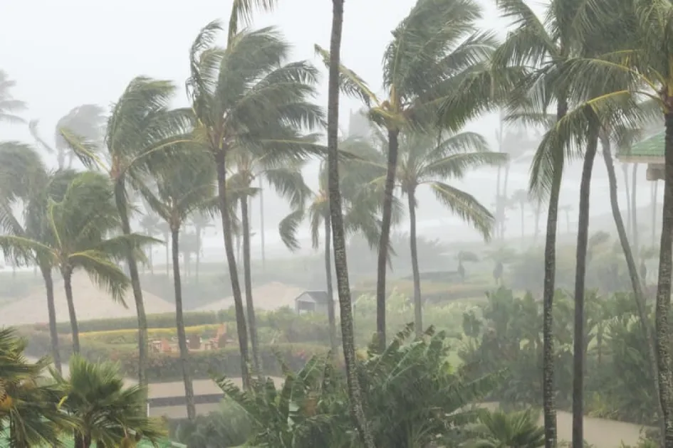 Tropical wave to bring light showers to Saint Lucia